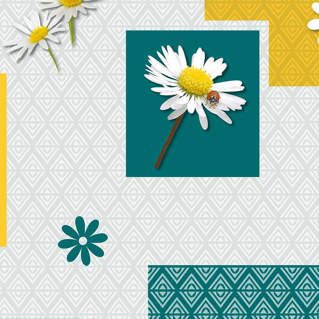 Bouton D’or lys blå - Voksduk med okseøye-blomster