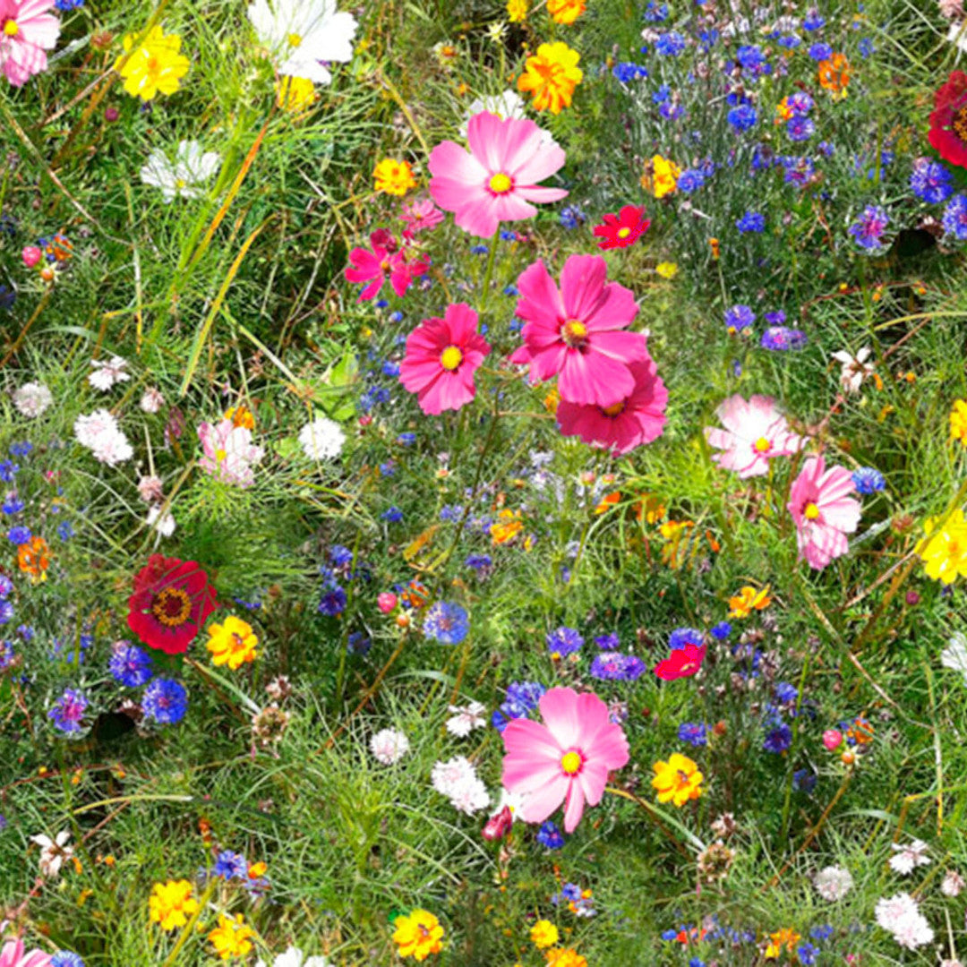 Ville blomster – Rullet voksduk med fargerike blomster