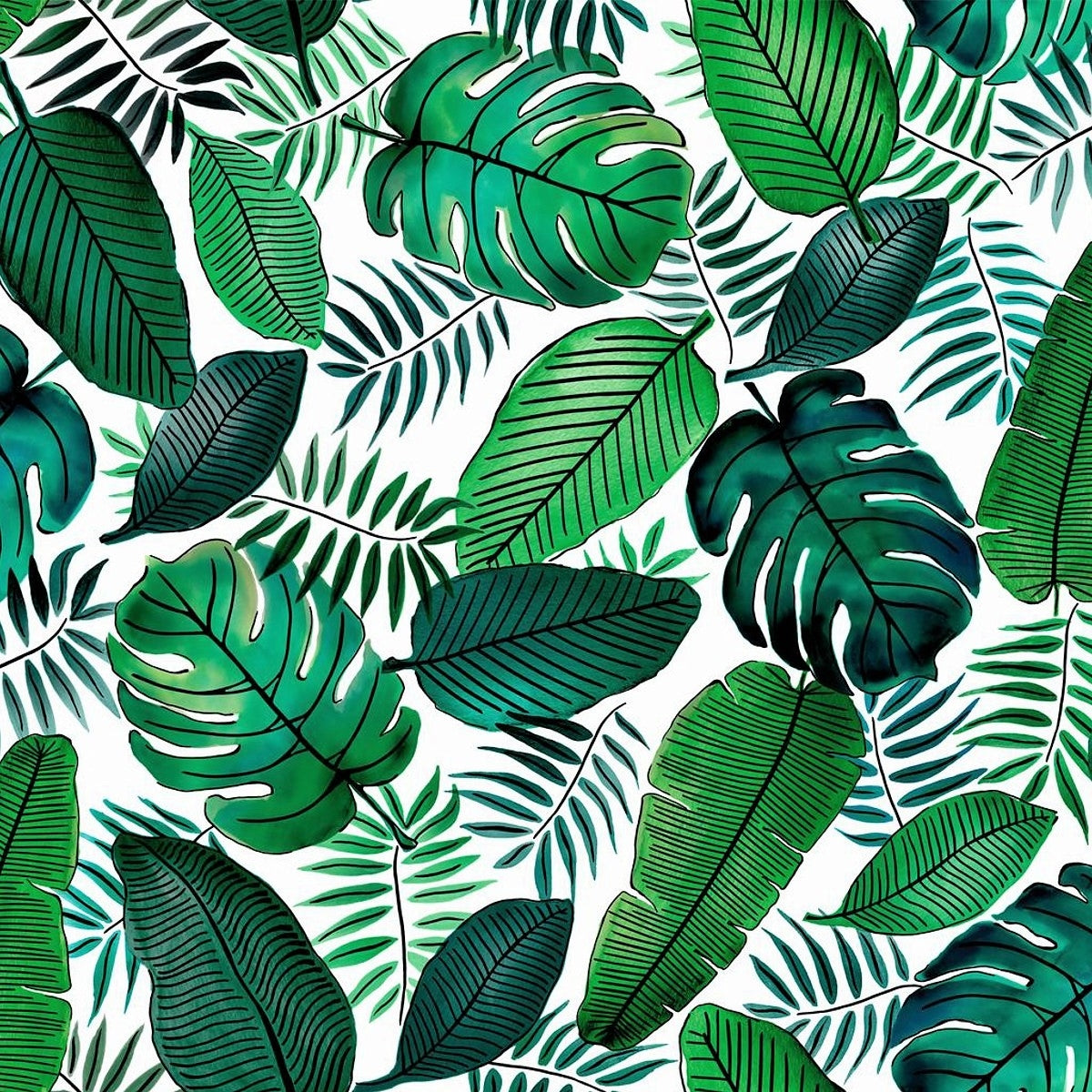 Java, voksduk med flotte grønne blader