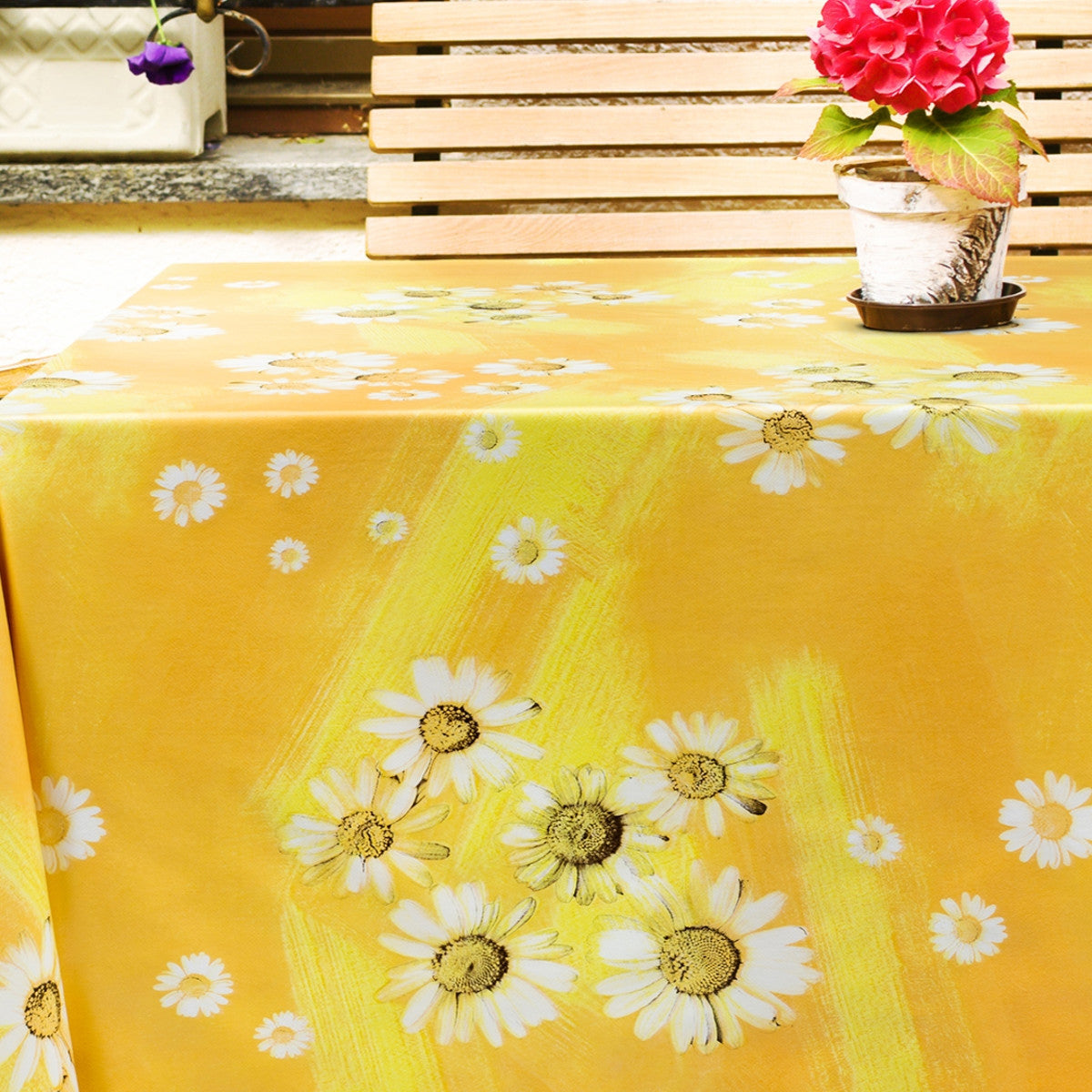 Prestekrager i solskinn voksduk i sommerstemning