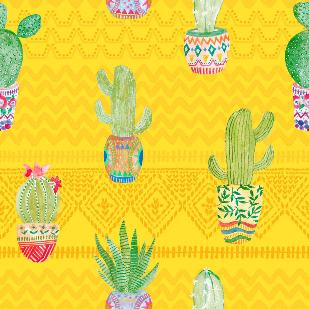 Melocactus Gul - Voksduk med morsomme kaktuser