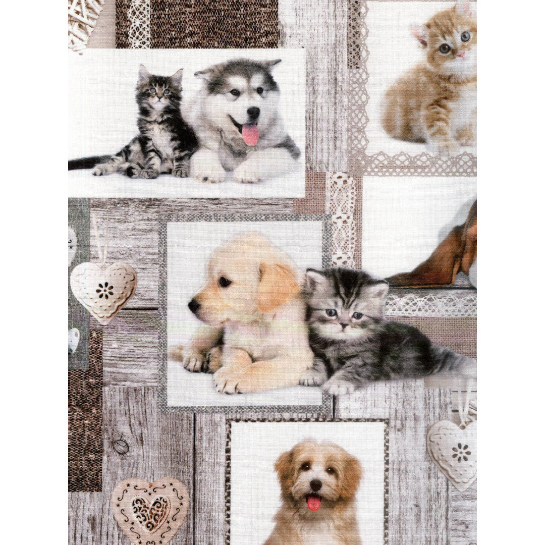 Migliori Amici – Akrylduk med valper og kattunger