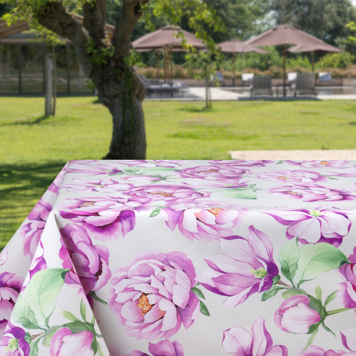 Pionens skjønnhet – Hvit voksduk med pioner