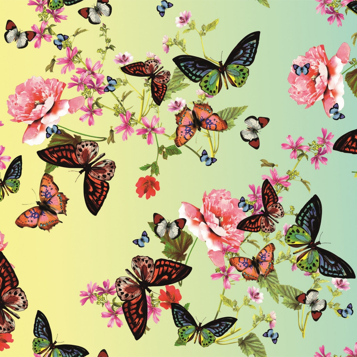 Aimee, voksduk med massevis av sommerfugler og blomster