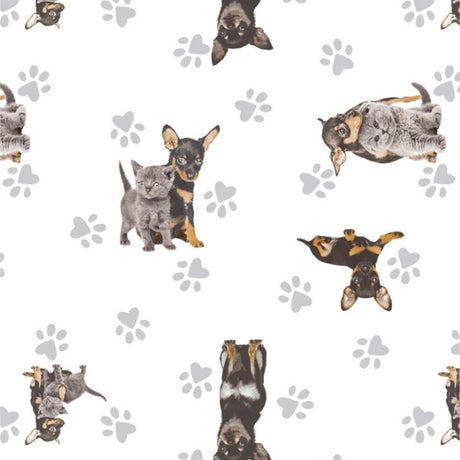 Dandy Grey – Voksduk med hunder og katter