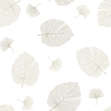 Elitis Skyggeblad – Gjennomsiktig voksduk med fine, lyse blader i naturlig strektegning, mønster 1