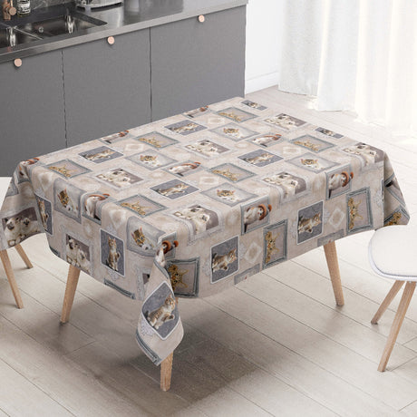 Killingegalleri – Beige voksduk med kattunger i rammer, miljø