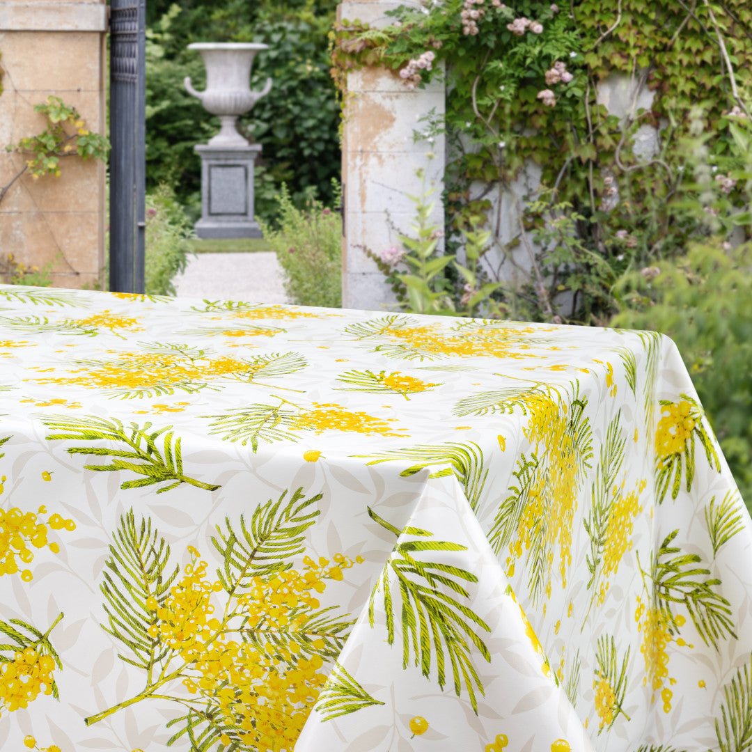 Mimosa Sunshine – voksduk med friske blomster, 160 cm, miljø