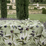 Olive Grove – voksduk med klassisk middelhavsstemning, miljø