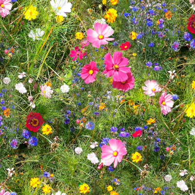 Ville blomster – Rullet voksduk med fargerike blomster