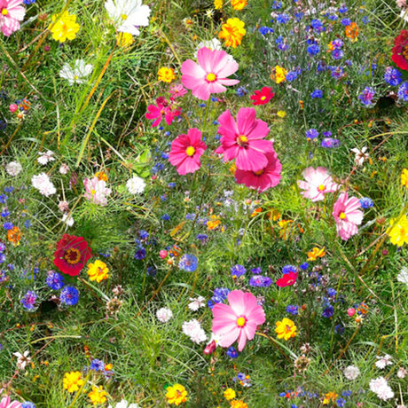 Ville blomster – Rullet voksduk med fargerike blomster