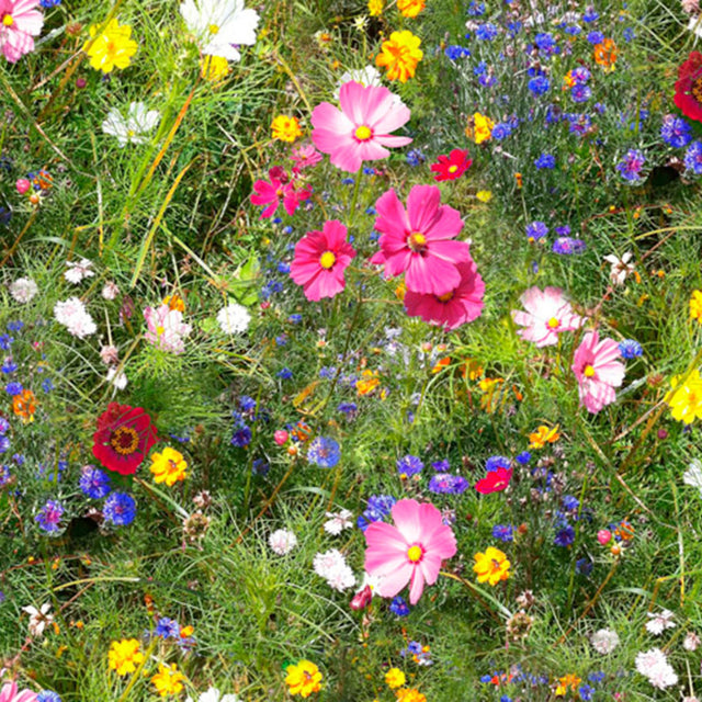 Ville blomster – Rullet voksduk med fargerike blomster