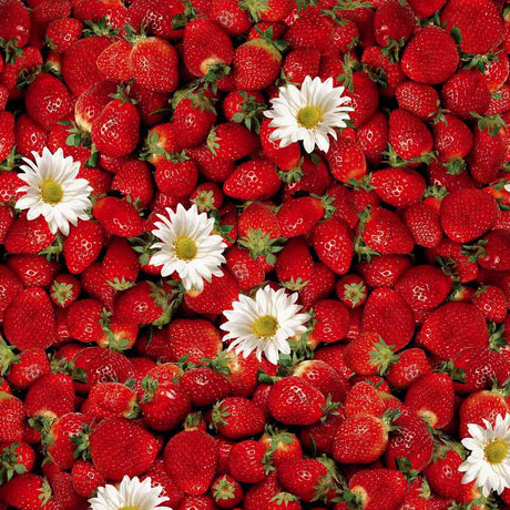Dansk Sommer - Voksduk med jordbær og margeritter