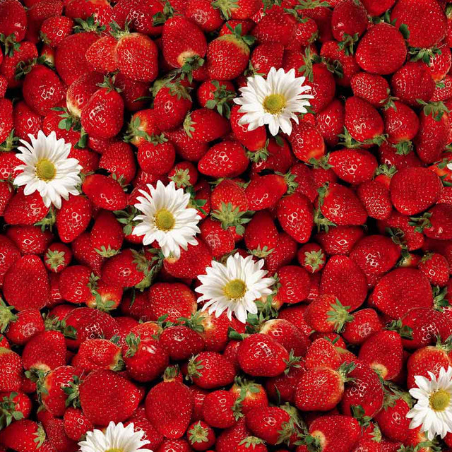 Dansk Sommer - Voksduk med jordbær og margeritter