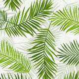 Feuilles Green – Voksduk med vakre grønne palmeblader