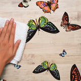 Lilith, gjennomsiktig voksduk, klar plastduk med fargerike sommerfugler