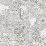 Map Mundi grå – Akrylduk med verdenskart