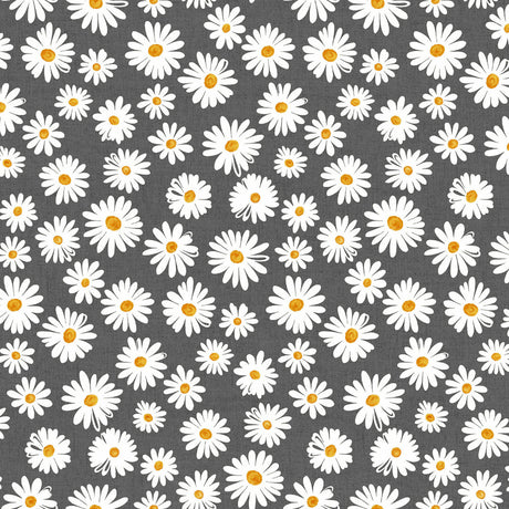 Margarita Antrasitt – Akrylduk med prestekrager og grå bunn