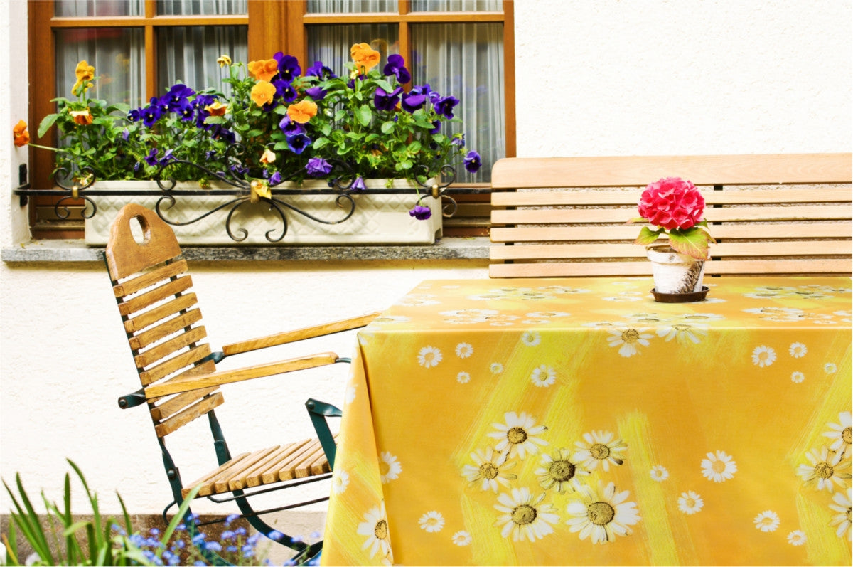 Prestekrager i solskinn voksduk i sommerstemning