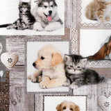 Migliori Amici – Akrylduk med valper og kattunger