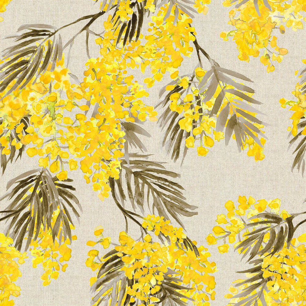 Mimosa – Akrylduk med vakre storblomstrende gule akasieblomster