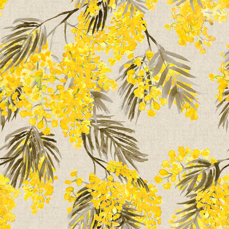 Mimosa – Akrylduk med vakre storblomstrende gule akasieblomster