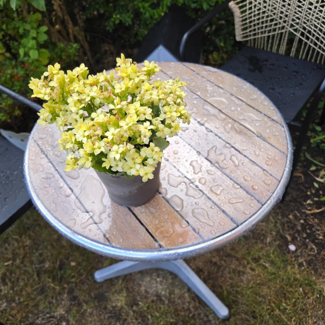 Til hagebord – rund gjennomsiktig voksduk med strikk