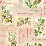 Rosalie, vakker voksduk med epler, pærer, nyper og oliven