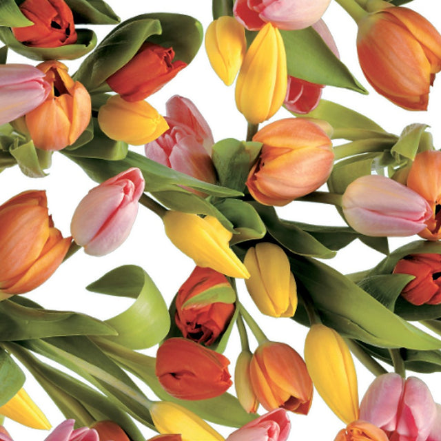 Tulipan Multicolor – Voksduk med tulipaner i vakre farger
