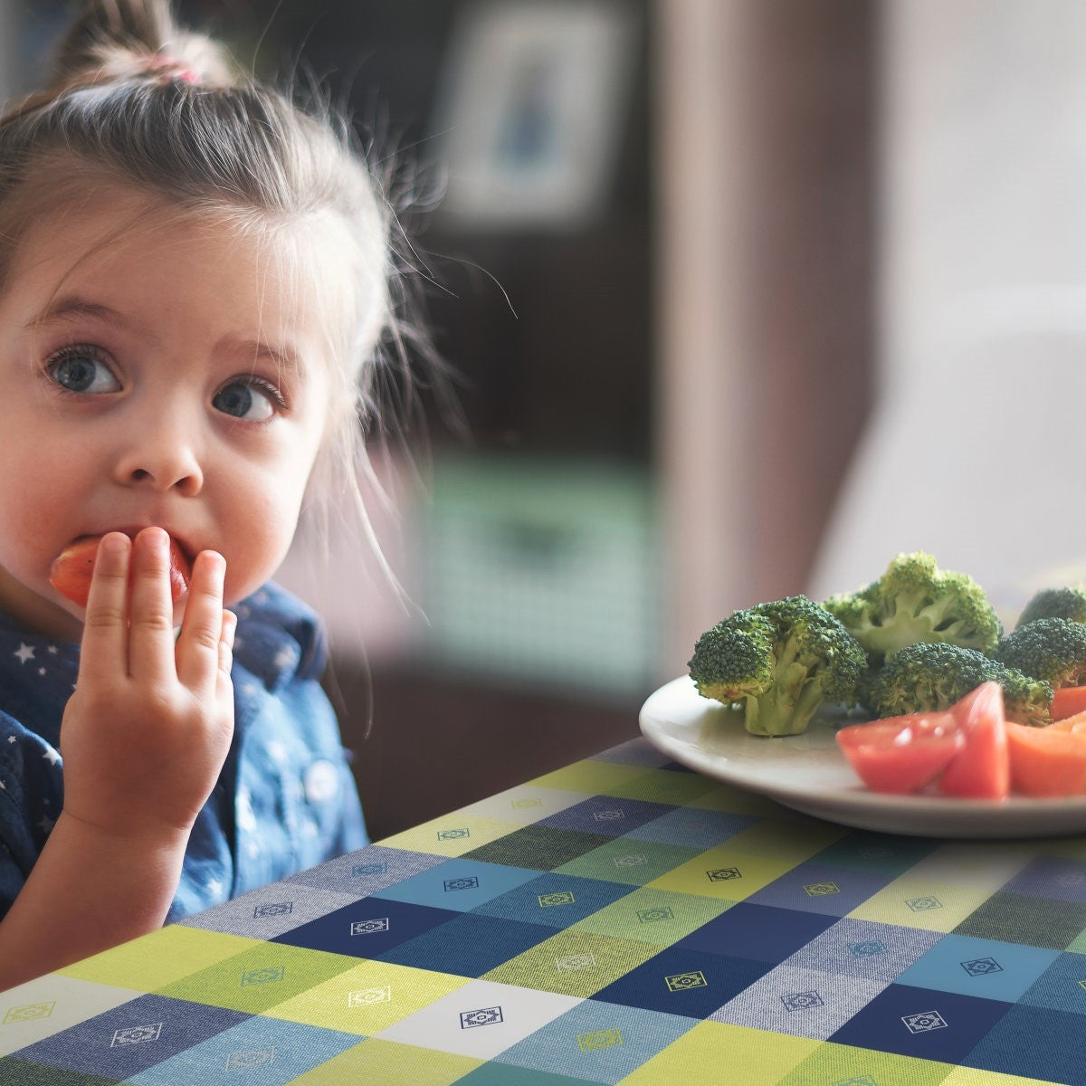 Victor Blå, LFGB-sertifisert voksduk med ruter